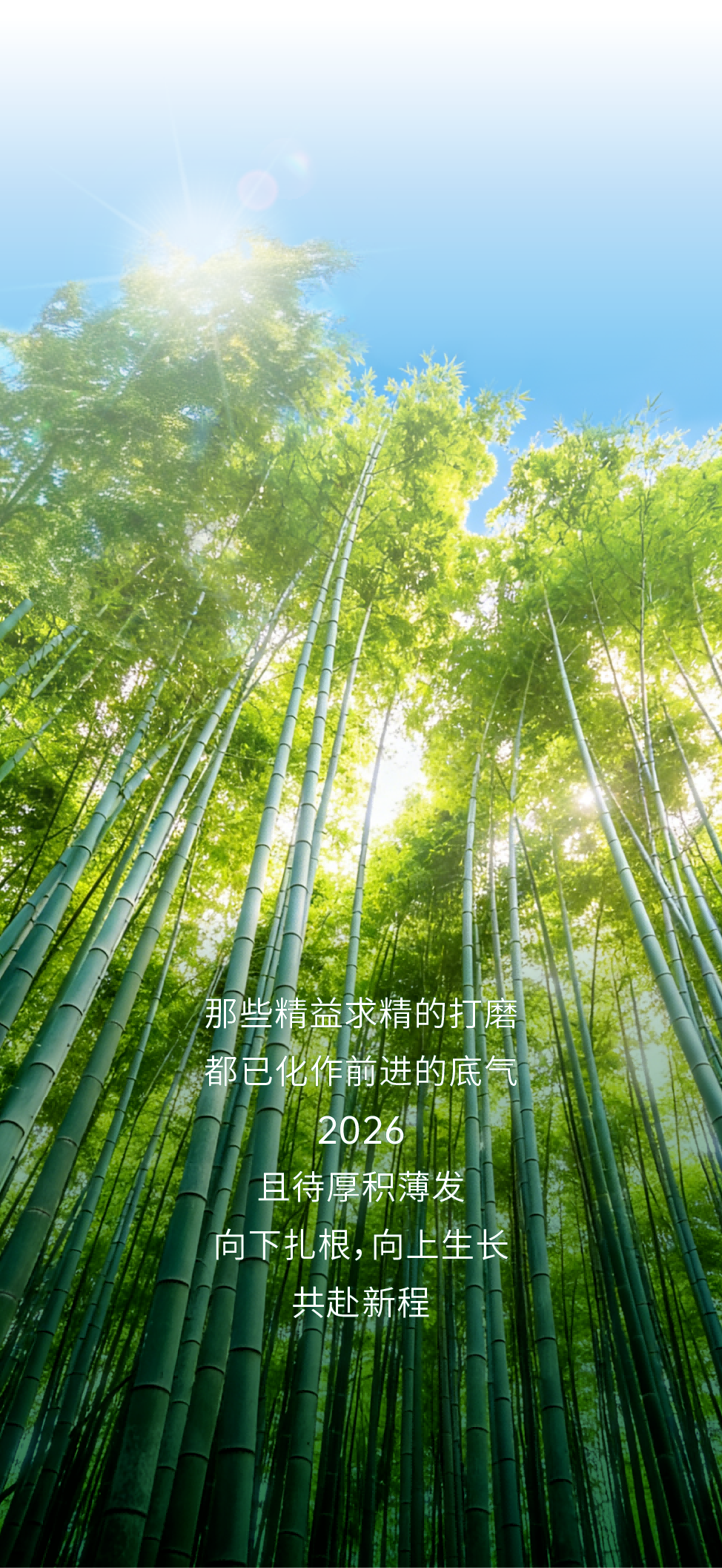 下载 (7)(1).png